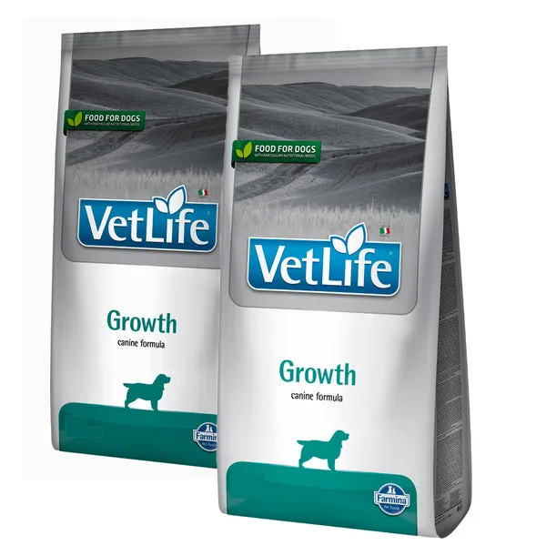 VETLIFE DOG GROWTH - Image 3