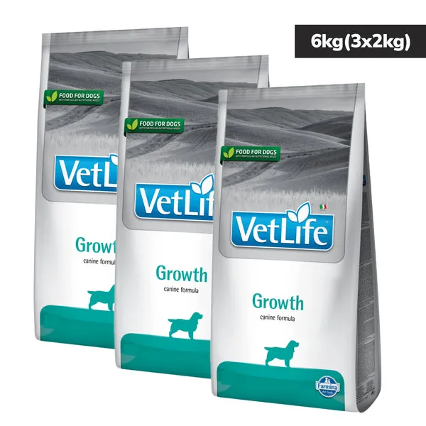 VETLIFE DOG GROWTH - Image 4