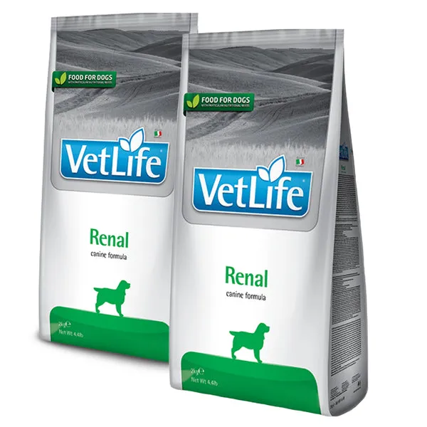 VETLIFE DOG RENAL - Image 2