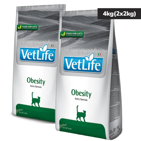 VETLIFE CAT OBESITY - Image 2