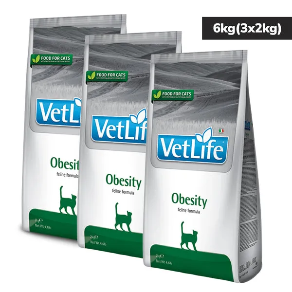 VETLIFE CAT OBESITY - Image 3