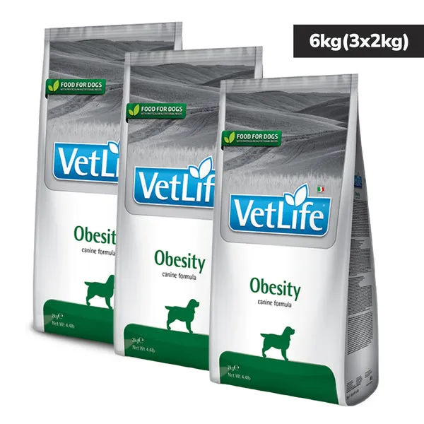 VETLIFE DOG OBESITY - Image 2