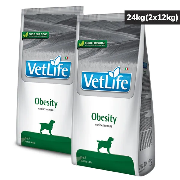 VETLIFE DOG OBESITY - Image 3