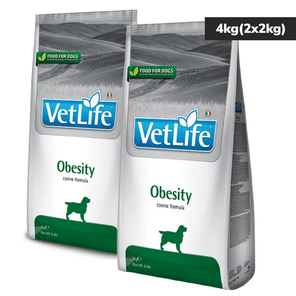 VETLIFE DOG OBESITY - Image 4