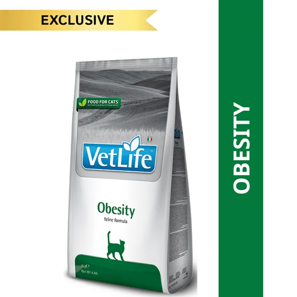 VETLIFE CAT OBESITY