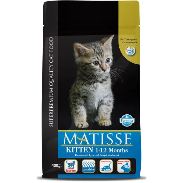 MATISSE Kitten