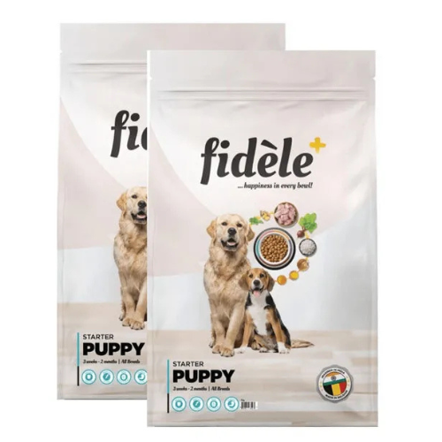 FIDELE STARTER PUPPY - Image 2