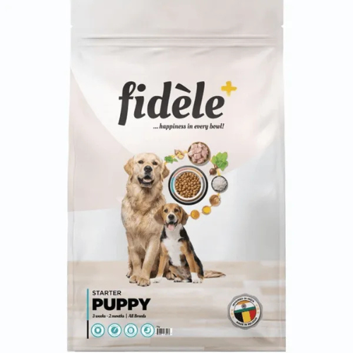 FIDELE STARTER PUPPY