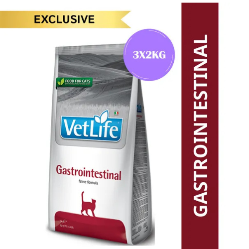 VETLIFE CAT GASTROINTESTINAL - Image 2