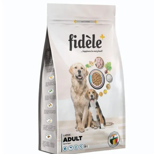 FIDELE LARGE ADULT
