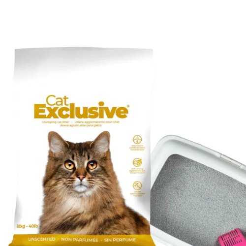 Intersand Cat's Exclusive Sodium Bentonite Clumping Unscented Cat Litter - Image 4