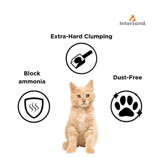 Intersand Unscented Odour Lock Cat Litter - Image 4