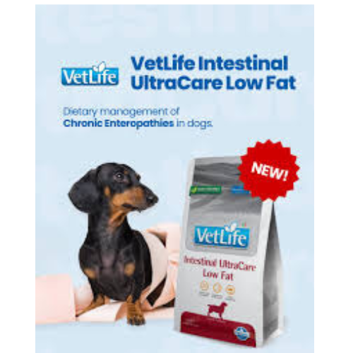 VETLIFE DOG INTESTINAL ULTRACARE LOW FAT - Image 2