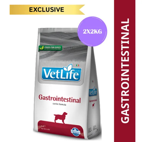 VETLIFE DOG GASTROINTESTINAL - Image 3