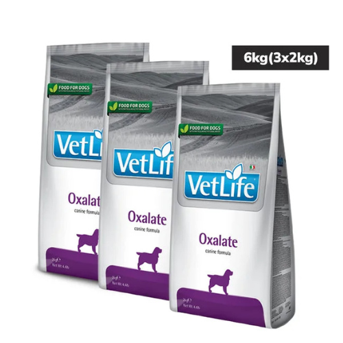 VETLIFE DOG OXALATE - Image 2