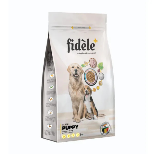 FIDELE LARGE PUPPY