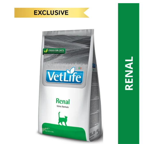 VETLIFE CAT RENAL
