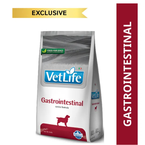 VETLIFE DOG GASTROINTESTINAL - Image 2