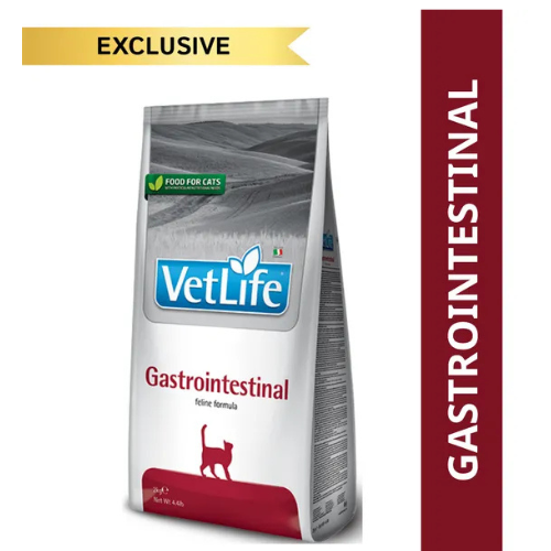 VETLIFE CAT GASTROINTESTINAL