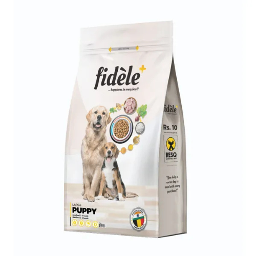 FIDELE LARGE PUPPY - Image 2