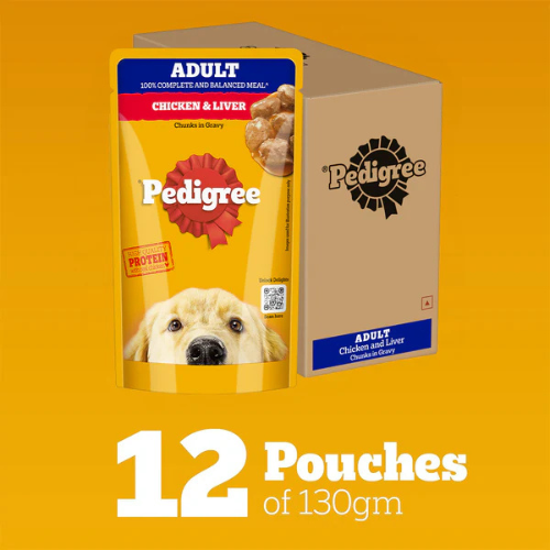 Pedigree Adult Chicken & Liver Chunks in Gravy