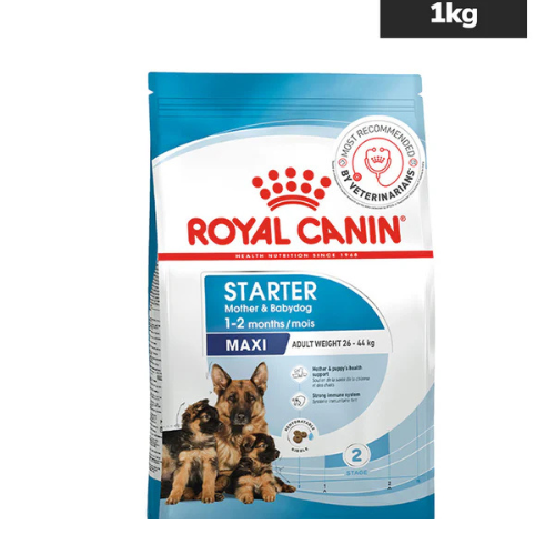 Royal Canin Maxi Starter - Image 2