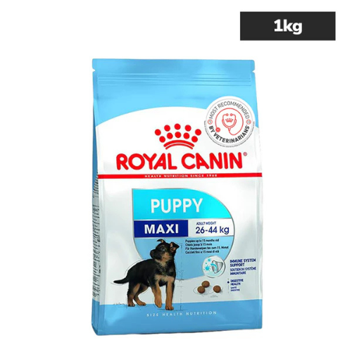 Royal Canin Maxi Puppy - Image 2