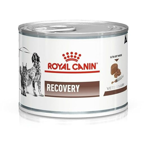 Royal Canin Recovery Bacon Liquid Can for Dogs and Cats, 195 g All Life Stages