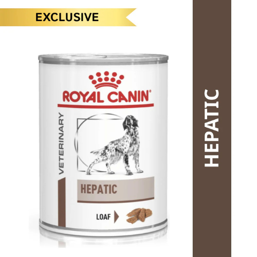 Royal Canin Veterinary Diet Hepatic Dog Wet Food 420g