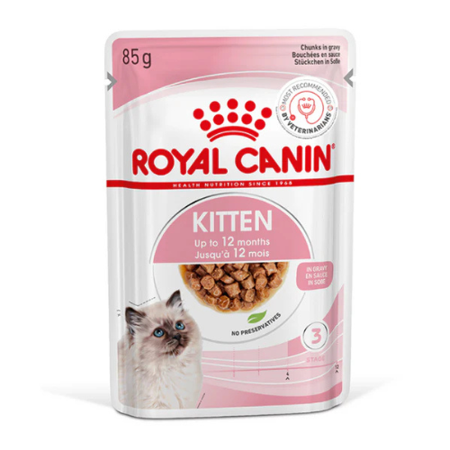 Royal Canin Kitten Wet Food in Gravy